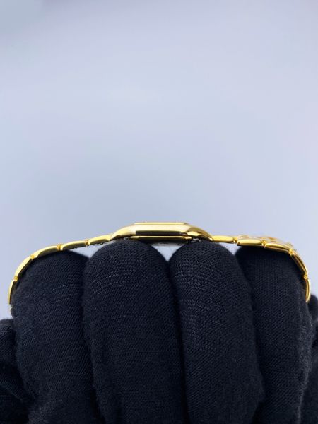 Cartier Panthere W25034B9